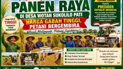 PETANI WOTAN BERGEMBIRA, HARGA GABAH TINGGI SAAT PANEN RAYA