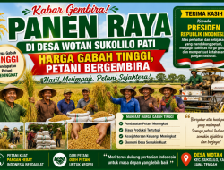 PETANI WOTAN BERGEMBIRA, HARGA GABAH TINGGI SAAT PANEN RAYA
