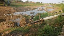 Ribuan Hektare Sawah Terancam Kekurangan Air, Petani Mendesak Pemerintah Bergerak Sebelum Tanaman Puso