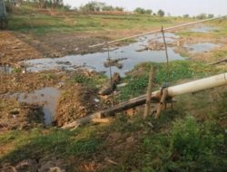 Ribuan Hektare Sawah Terancam Kekurangan Air, Petani Mendesak Pemerintah Bergerak Sebelum Tanaman Puso